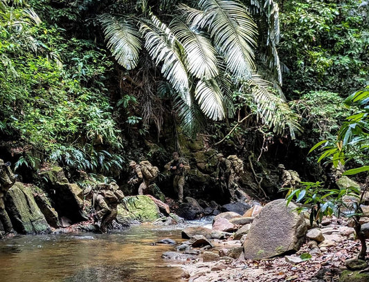 Creek crossing