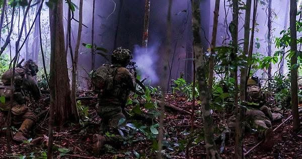 Jungle
